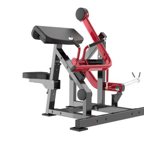 Seated Bicep Curl