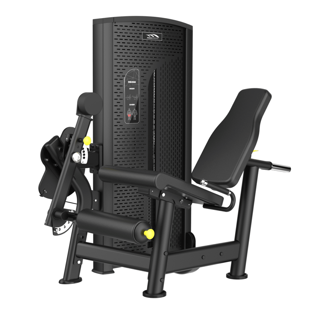 Seated Leg Extension