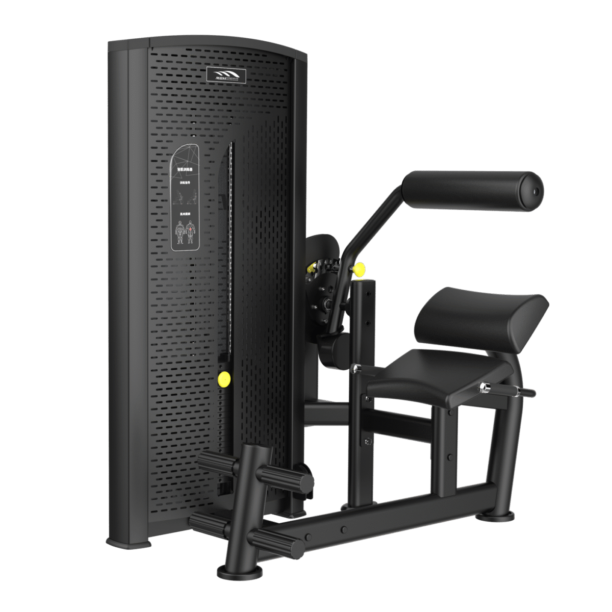 Lower Back Extension