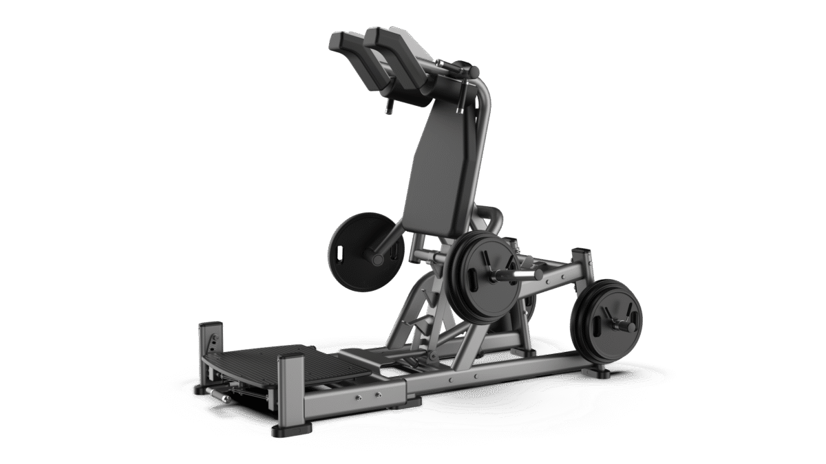 Hack Squat