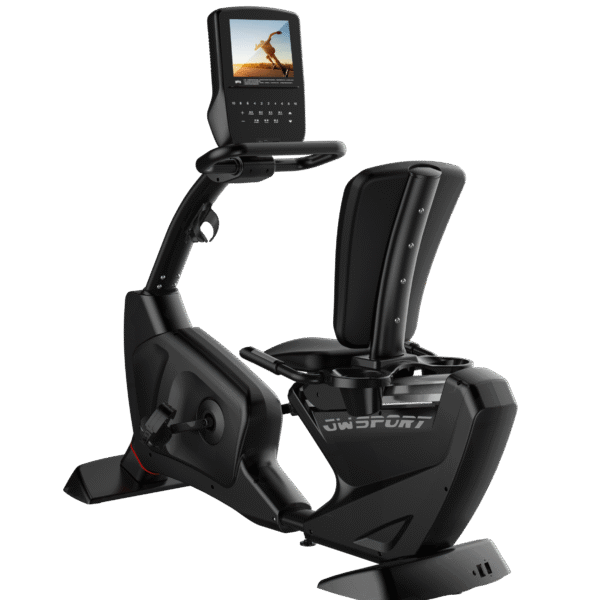 Commercial Recumbent Bike