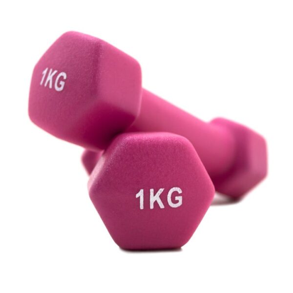 AEROBICS STUDIO DUMBBELLS (PAIR)