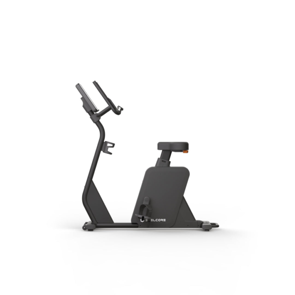 Black Series Upright Bike