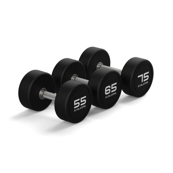 Skelcore CPU Round Dumbbell (Pair)